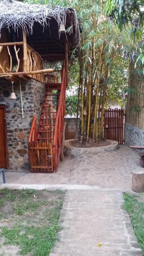 Lizard Safari Lodge Удавалаве Екстериор снимка